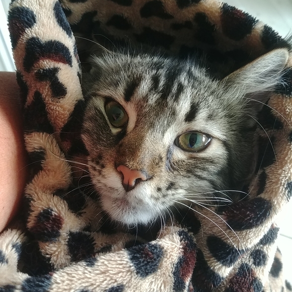 Meet your Posher, Rose marie - Picture 1 of 1